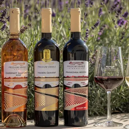 Vinarstvo Predium Hotell Vráble